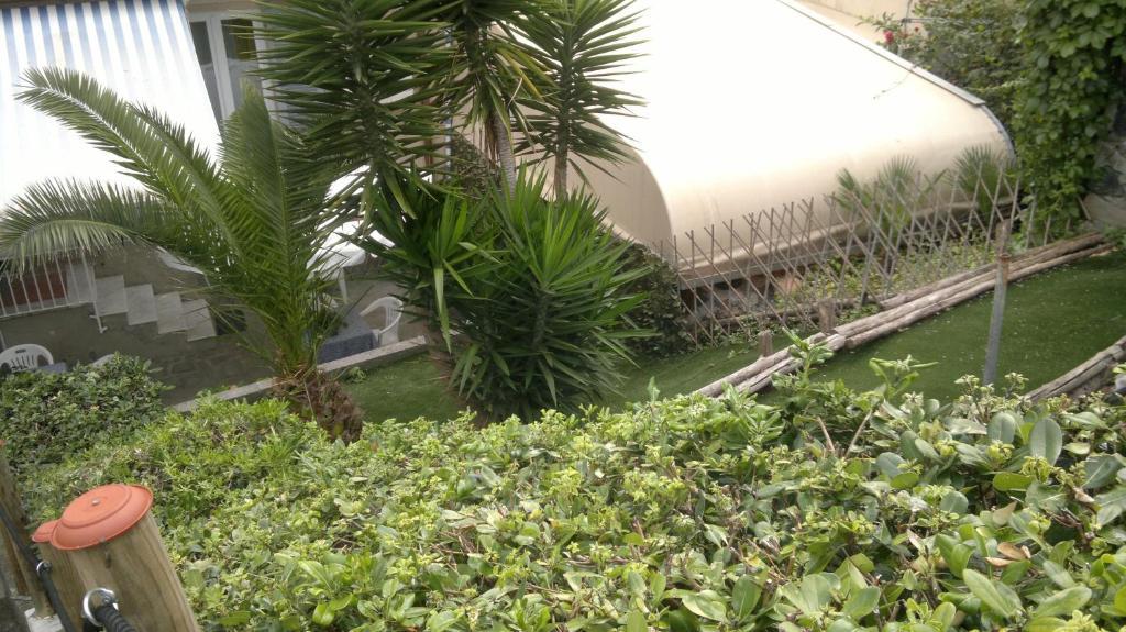 Le Conchiglie Hotel เลวานโต ภายนอก รูปภาพ