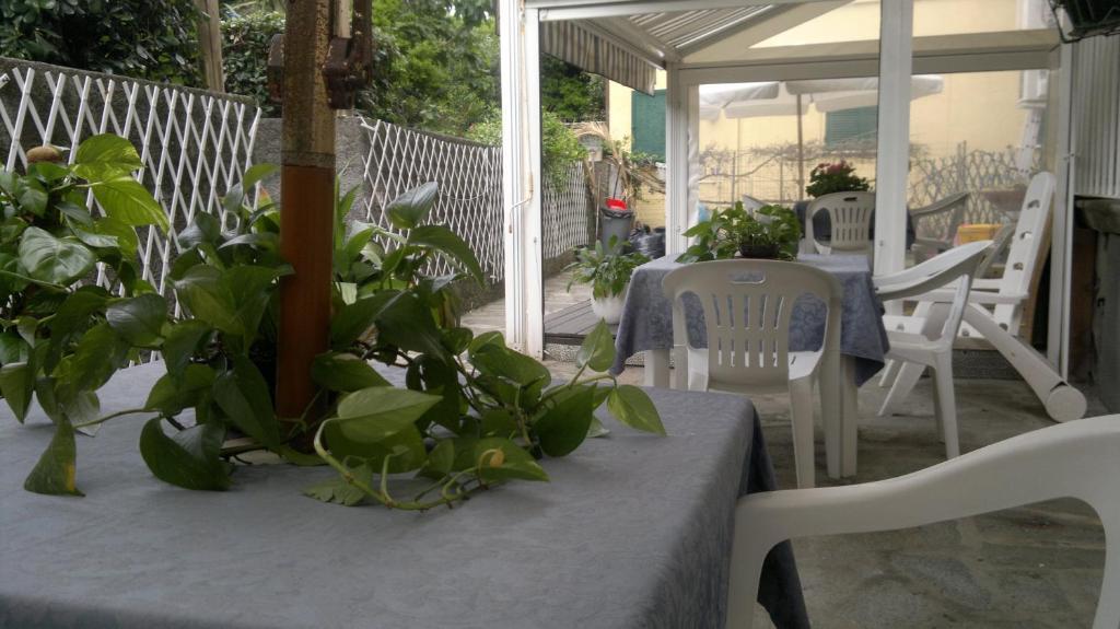 Le Conchiglie Hotel เลวานโต ภายนอก รูปภาพ
